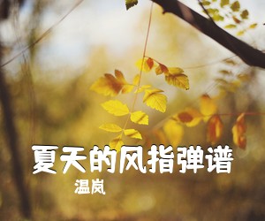 温岚《夏天的风指弹谱吉他谱》