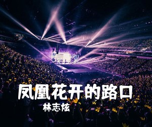 林志炫《凤凰花开的路口吉他谱》(G调)