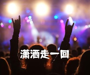 《潇洒走一回吉他谱》(G调)
