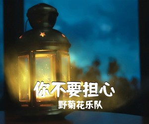 野菊花乐队《你不要担心吉他谱》(F调)