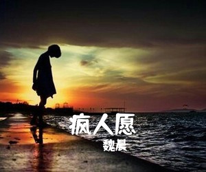 魏晨《疯人愿吉他谱》