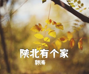 郭涛《陕北有个家简谱》