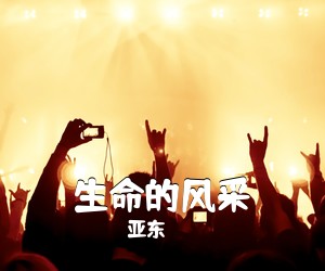 亚东《生命的风采简谱》