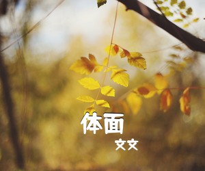 文文《体面吉他谱》(C调)