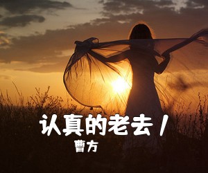 曹方《认真的老去 /吉他谱》