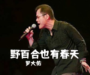罗大佑《野百合也有春天吉他谱》(C调)