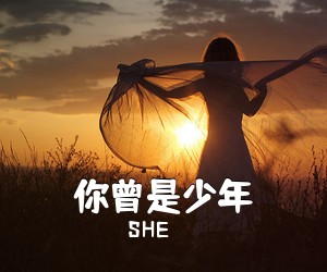 SHE《你曾是少年吉他谱》