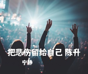 宁静《把悲伤留给自己 陈升吉他谱》