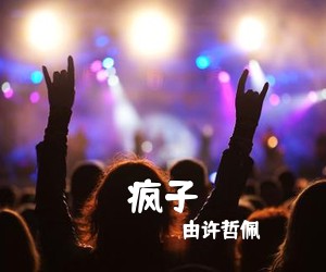 由许哲佩《疯子吉他谱》(C调)