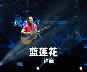 许巍《蓝莲花吉他谱》(C调)