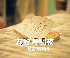 任贤齐/杨千嬅《花好月圆夜吉他谱》(C调)