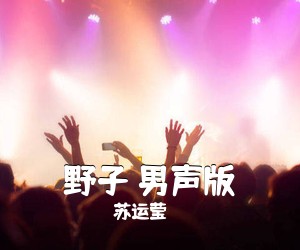 苏运莹《野子 男声版吉他谱》(D调)