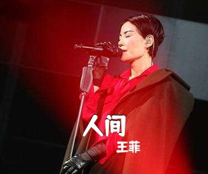 王菲《人间吉他谱》(C调)