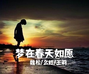 韩红《望简谱》