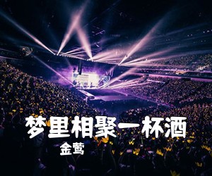 金莺《梦里相聚一杯酒简谱》