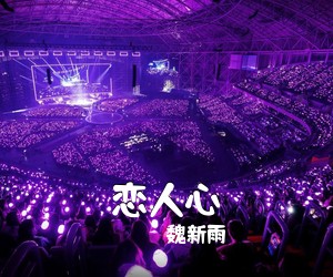 魏新雨《恋人心简谱》