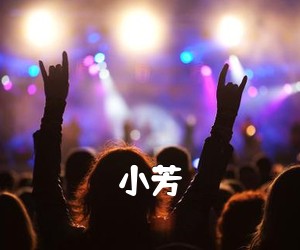 《小芳吉他谱》(G调)