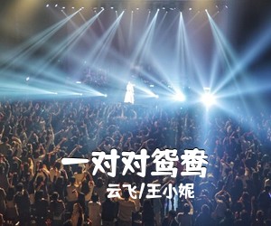 杨阳《红玫瑰简谱》