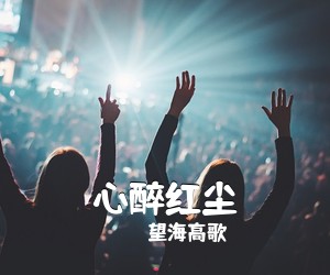 望海高歌《心醉红尘简谱》