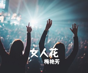梅艳芳《女人花吉他谱》(C调)