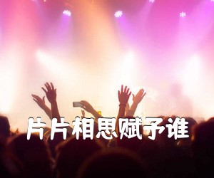 《片片相思赋予谁吉他谱》(C调)