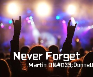 Martin O'Donnell Michael Salvatori《Never Forget简谱》