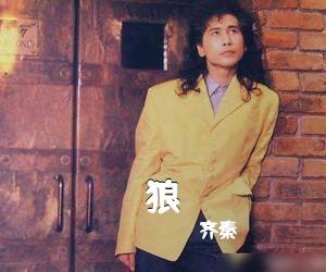 齐秦《狼吉他谱》(C调)