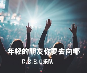 C.S.B.Q乐队《年轻的朋友你要去向哪吉他谱》(C调)