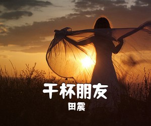 田震《干杯朋友吉他谱》(D调)