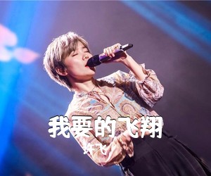 许飞《我要的飞翔吉他谱》(G调)