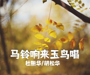 杜丽华/胡松华《马铃响来玉鸟唱简谱》