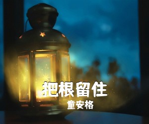 童安格《把根留住吉他谱》(G调)