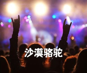 《沙漠骆驼吉他谱》(C调)