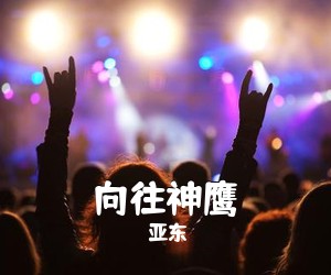 亚东《向往神鹰吉他谱》(G调)