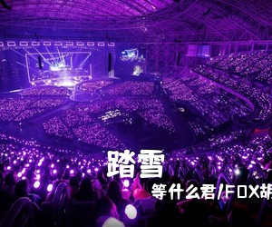 等什么君/FOX胡天渝《踏雪吉他谱》(G调)