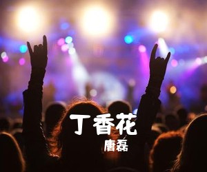 唐磊《丁香花吉他谱》(G调)
