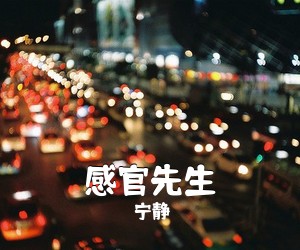 宁静《感官先生吉他谱》(G调)