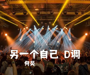 何炅《另一个自己  D调吉他谱》(D调)