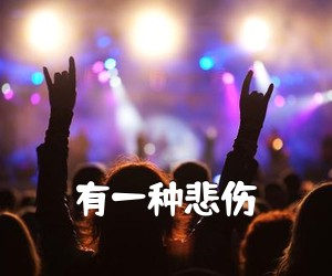 《有一种悲伤吉他谱》