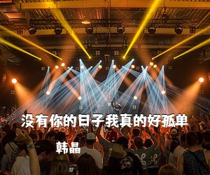 韩晶《没有你的日子我真的好孤单吉他谱》(D调)