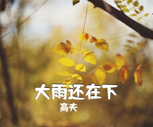 高夫《大雨还在下简谱》