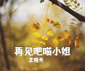 王晓天《再见吧喵小姐吉他谱》(C调)