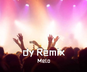 Melo《dy Remix吉他谱》(G调)