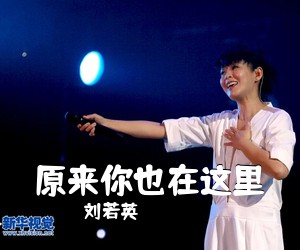 刘若英《原来你也在这里吉他谱》(G调)