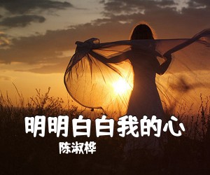 陈淑桦《明明白白我的心吉他谱》