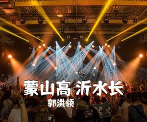 孙亚男《无悔的选择简谱》