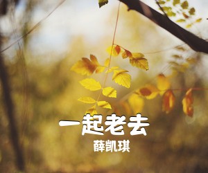 薛凯琪《一起老去吉他谱》