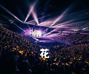 《花吉他谱》(G调)
