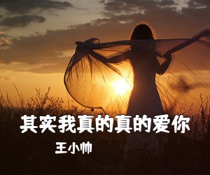 王小帅《其实我真的真的爱你吉他谱》(C调)