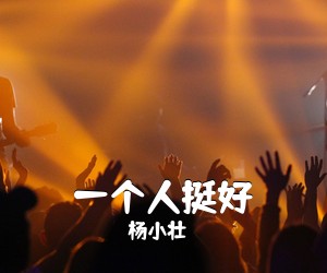 杨小壮《一个人挺好吉他谱》(C调)
